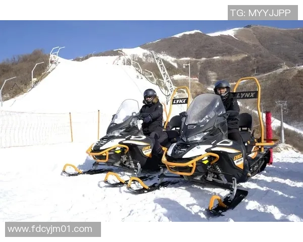 冬奥会滑雪装备科技革新对竞技表现与市场竞争力的影响分析